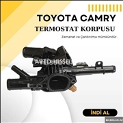 Termostat/Toyota Camry