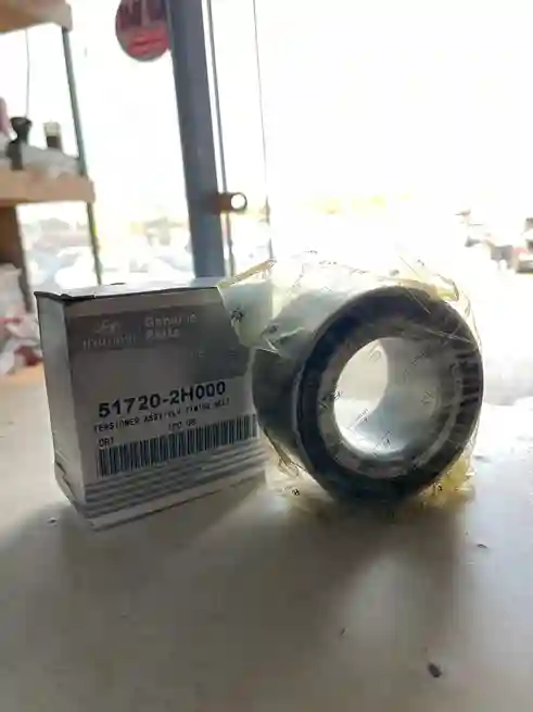 Stupitsa Paçemniki/Hyundai