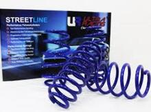 BMW F10 sport yayları (Purjin)