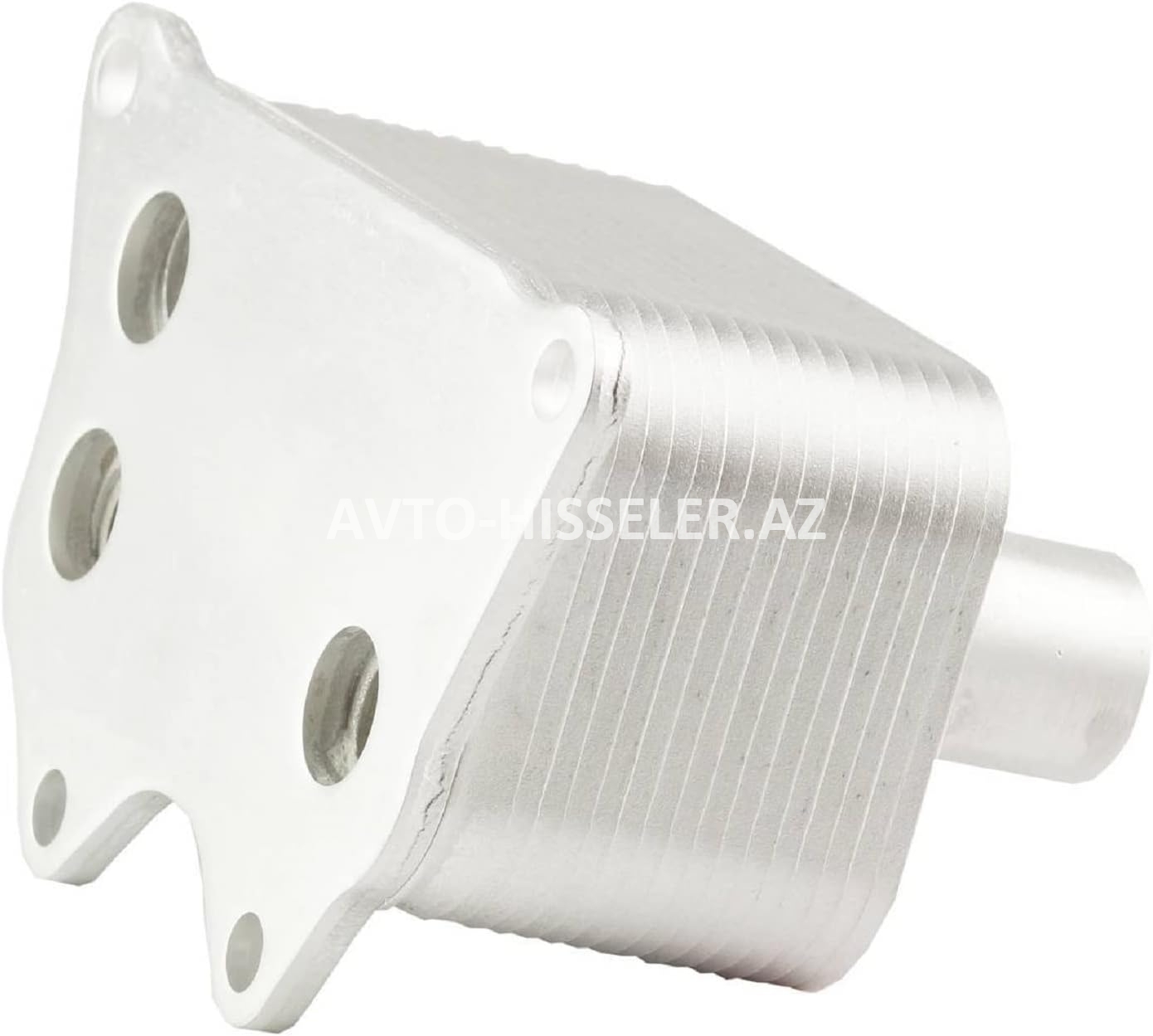 Yağ kitabçası Volkswagen Passat