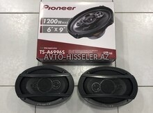 Pioneer Dinamiklər