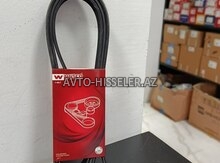 Chevrolet Captiva 2.4L, Malibu 2012 Çöl Kəməri -avto-hisseler.az