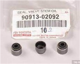 Toyota Lexus klapan salniki