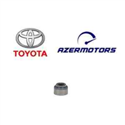 Klapan kipkəci (SALNIK)