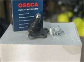 Alt asqının kürəcikli oynağı (şaravoy)