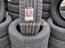 Lassa Şinləri 225/55 Ra17