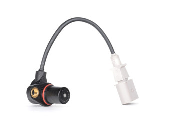 Raspidvalın daçiki  Volkswagen