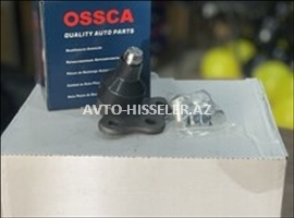 Alt asqının kürəcikli oynağı (şaravoy)