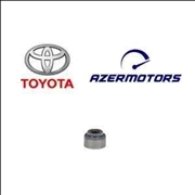 Klapan kipkəci (SALNIK)