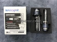 Wattstar D4S Ksenon Lampaları