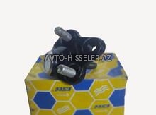 Toyota Prius 30 asqı dayağı