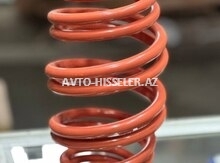 Daewoo Nexia arxa asqı yayları