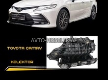 Toyota Camry 2018-2024 kollektoru